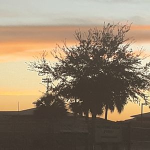 Meet your Posher, CC